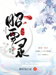 昭雪录之神断女提刑封面